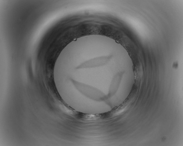 X0000097640239200803211839