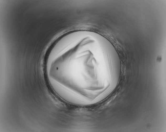 X0000097640244200803211839