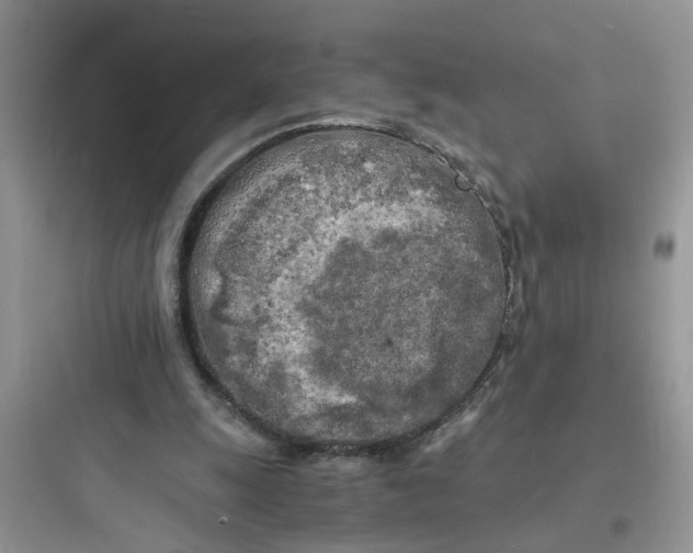 X0000097640247200803211839