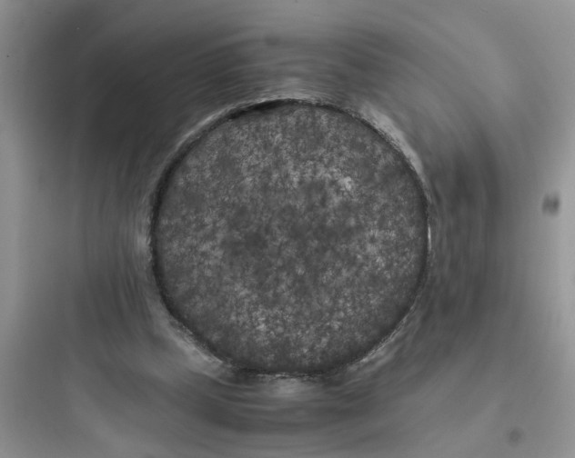 X0000097640249200803211839