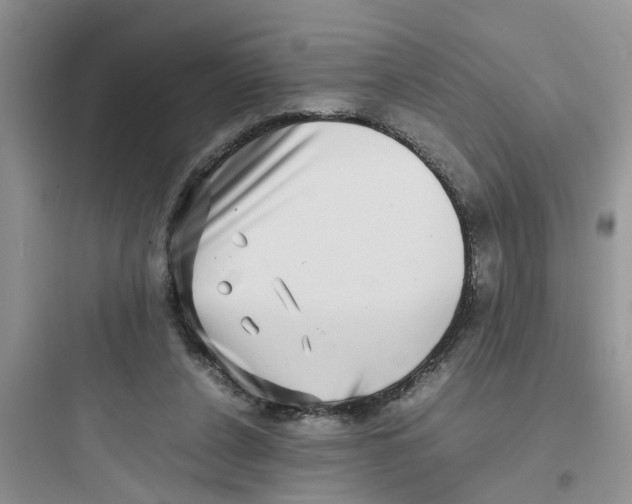 X0000097640256200803211839