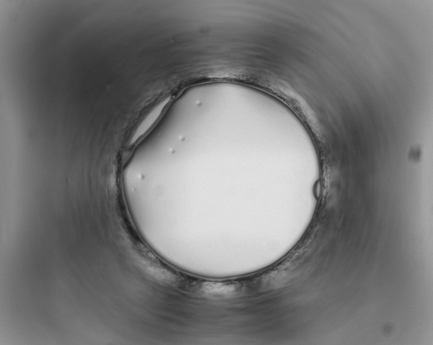 X0000097640257200803211839