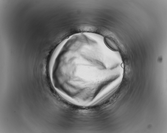 X0000097640259200803211839