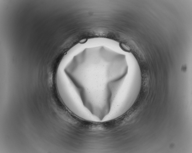 X0000097640262200803211839