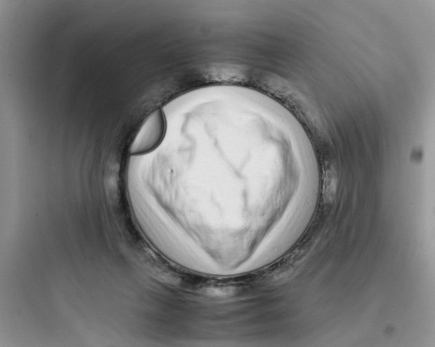 X0000097640263200803211839