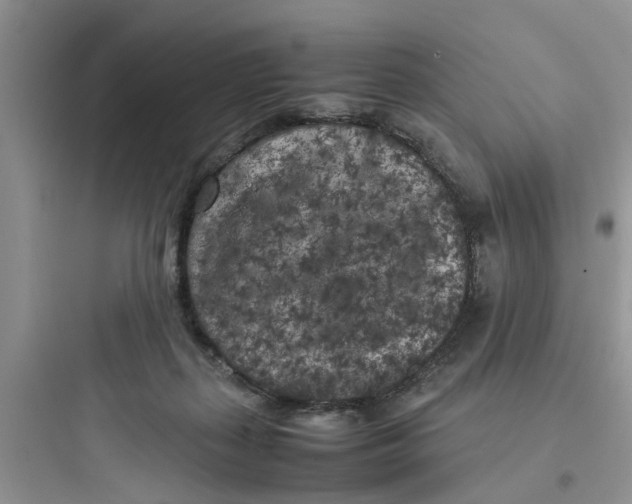 X0000097640267200803211839