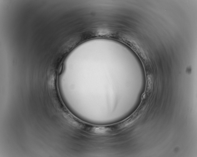 X0000097640269200803211839