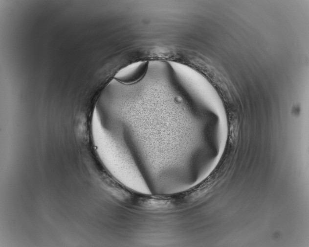 X0000097640270200803211839