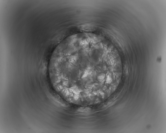 X0000097640271200803211839