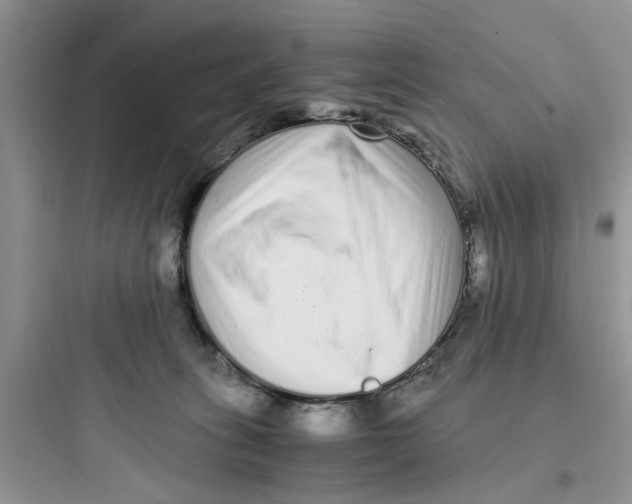 X0000097640275200803211839