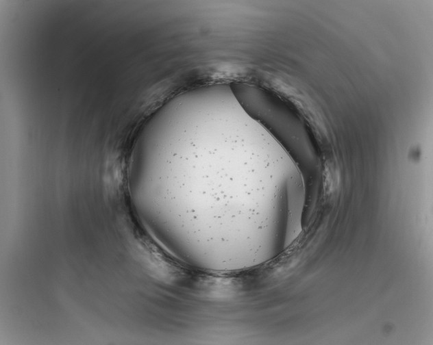 X0000097640276200803211839