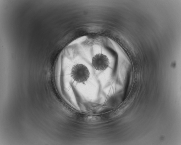 X0000097640277200803211839