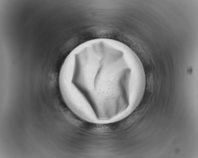 X0000097640278200803211839