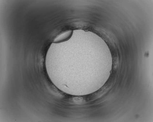 X0000097640279200803211839