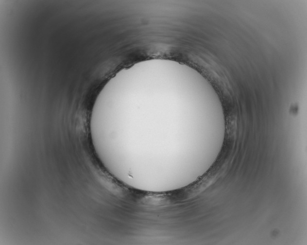 X0000097640280200803211839