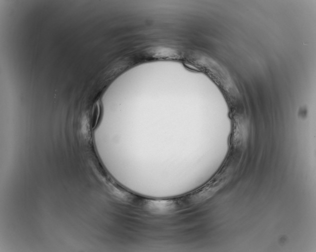 X0000097640281200803211839