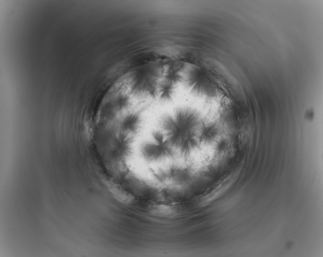 X0000097640285200803211839