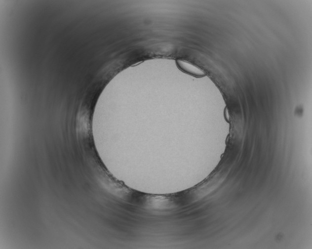 X0000097640287200803211839