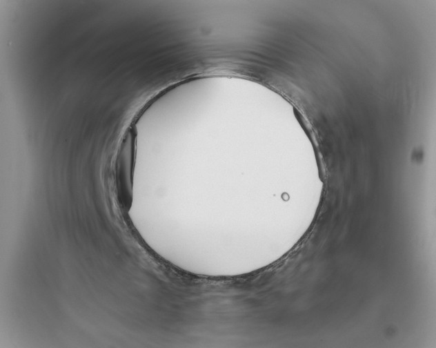 X0000097640289200803211838