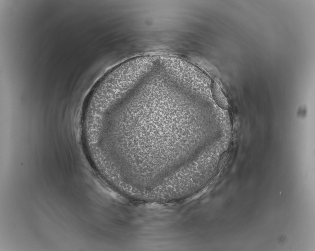 X0000097640290200803211838