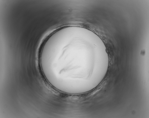 X0000097640294200803211838