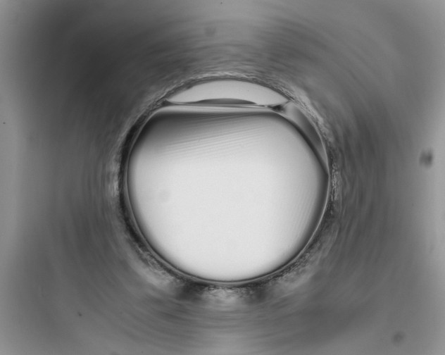 X0000097640299200803211838