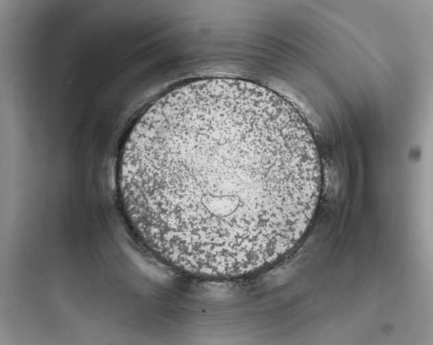 X0000097640302200803211838