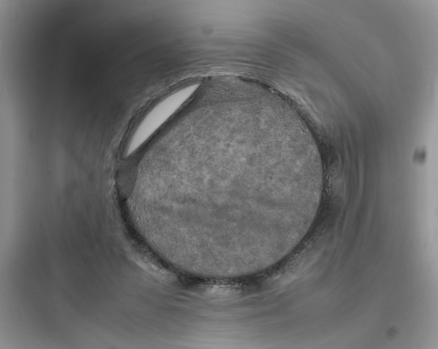 X0000097640303200803211838