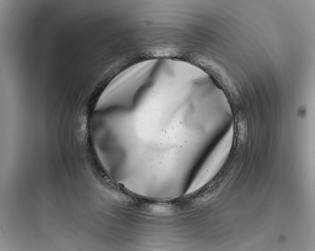 X0000097640308200803211838