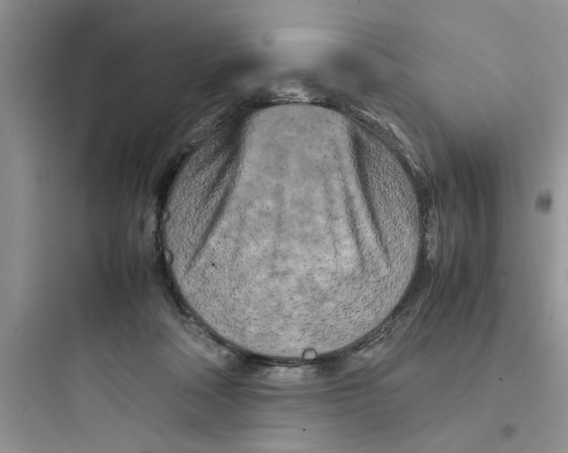 X0000097640314200803211838