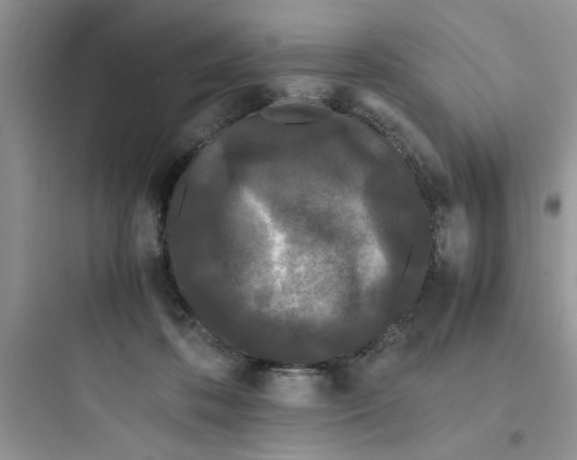 X0000097640316200803211838