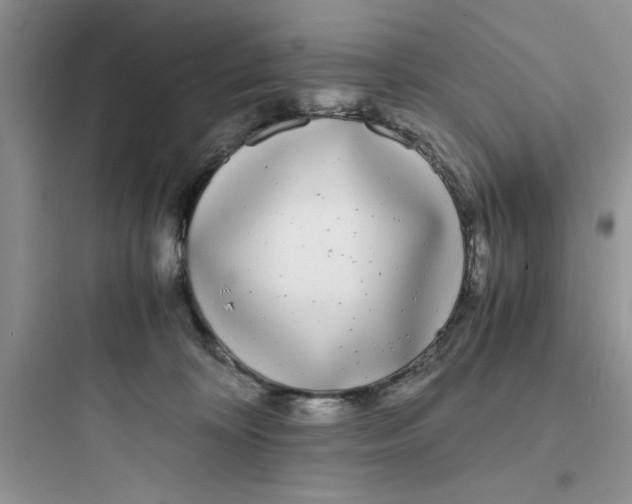 X0000097640324200803211838