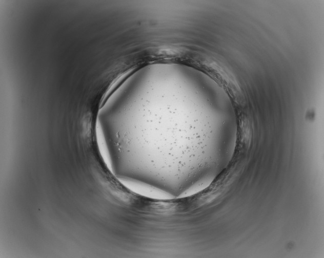 X0000097640328200803211838