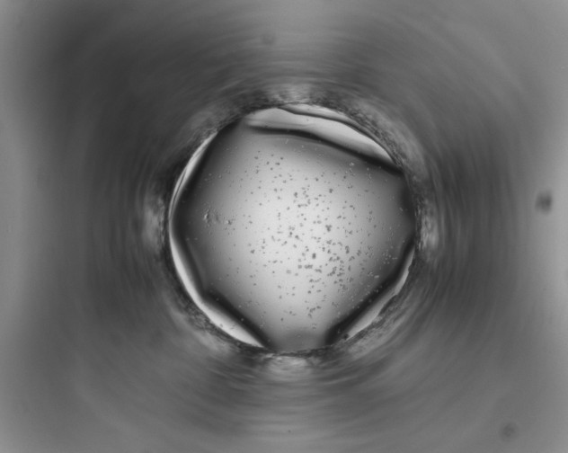 X0000097640332200803211838