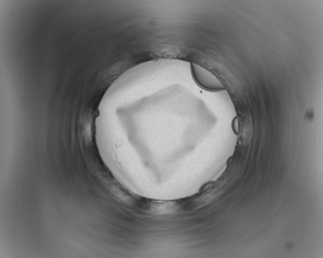 X0000097640334200803211838