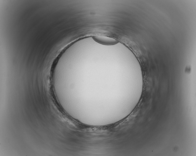 X0000097640338200803211837