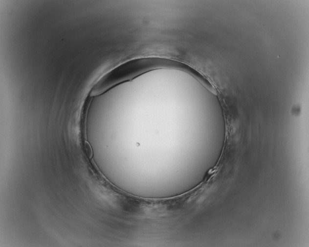 X0000097640340200803211837