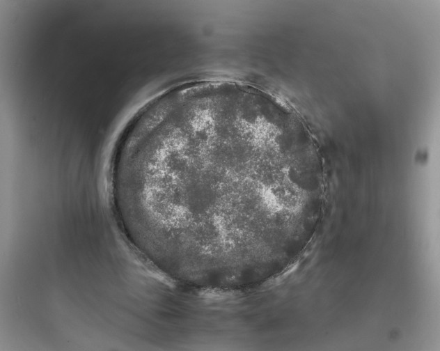 X0000097640343200803211837