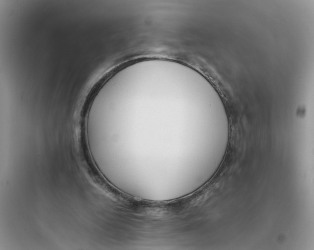 X0000097640344200803211837