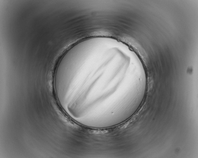 X0000097640345200803211837