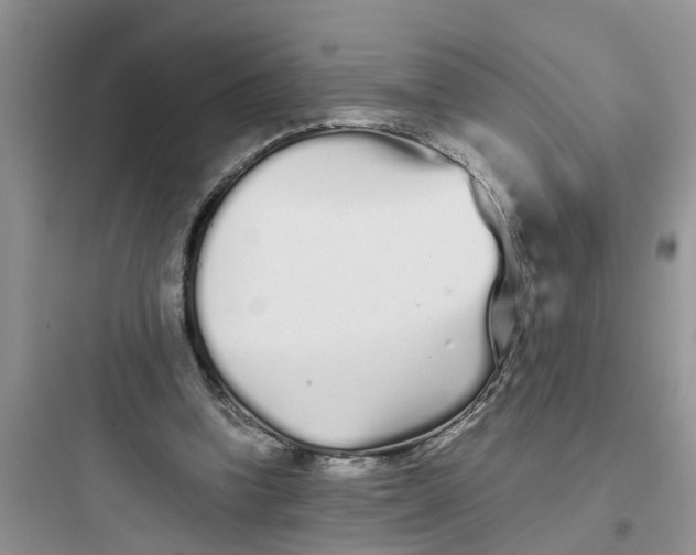 X0000097640346200803211837