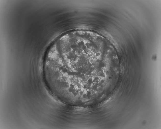 X0000097640347200803211837