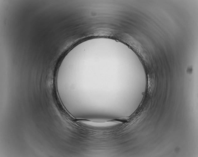 X0000097640348200803211837