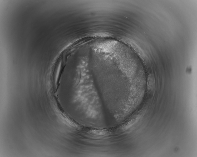 X0000097640351200803211837