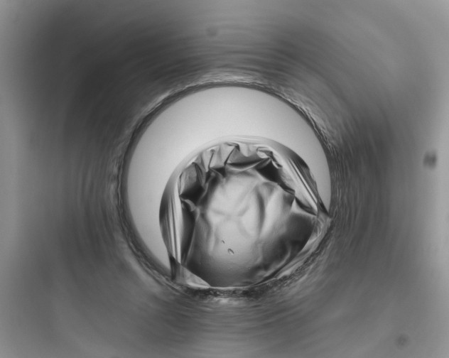 X0000097640352200803211837