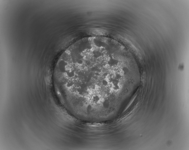 X0000097640359200803211837