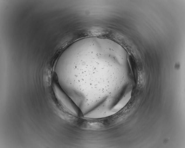 X0000097640360200803211837