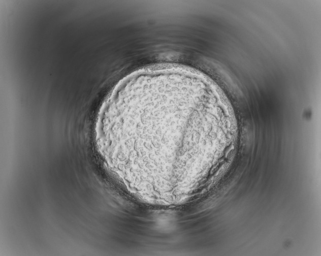 X0000097640363200803211837