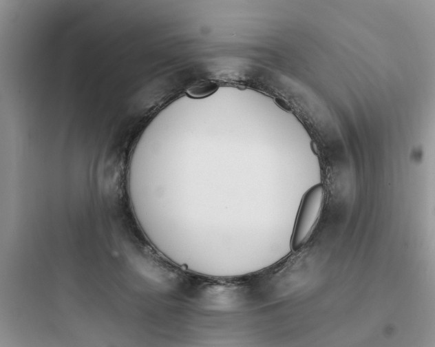 X0000097640364200803211837