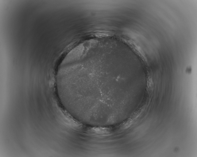 X0000097640367200803211837